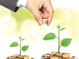 TƯ VẤN XỬ LÝ VÀ THU HỒI NỢ