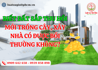 Biết đất sắp thu hồi mới trồng cây, xây nhà có được bồi thường không?