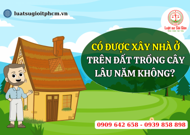 Có được xây nhà ở trên đất trồng cây lâu năm không?