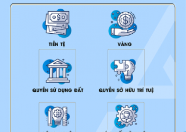TÀI SẢN GÓP VỐN THEO QUY ĐỊNH CỦA LUẬT DOANH NGHIỆP?
