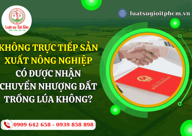 Không trực tiếp sản xuất nông nghiệp có được nhận chuyển nhượng đất trồng lúa không?