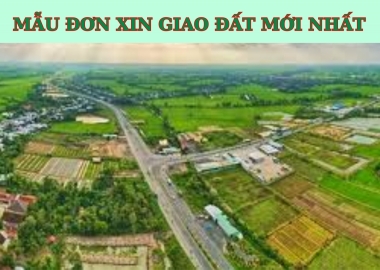 MẪU ĐƠN XIN GIAO ĐẤT MỚI NHẤT