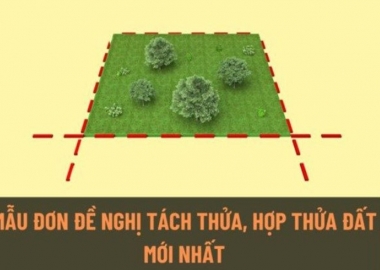 MẪU ĐƠN ĐỀ NGHỊ TÁCH THỬA ĐẤT, HỢP THỬA ĐẤT MỚI NHẤT 2025