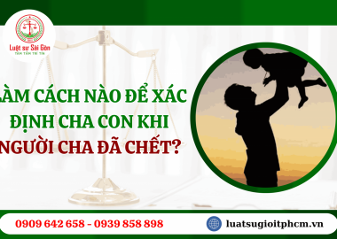 Làm cách nào để xác nhận cha cho con khi người cha đã chết?