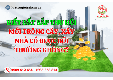 Biết đất sắp thu hồi mới trồng cây, xây nhà  có được bồi thường không?