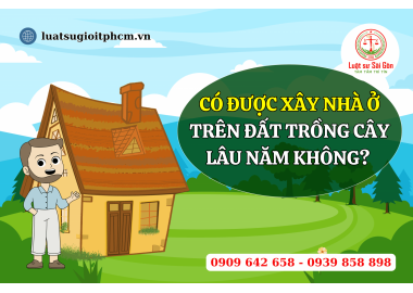 Có được xây nhà ở trên đất trồng cây lâu năm không?