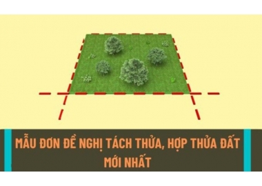 MẪU ĐƠN ĐỀ NGHỊ TÁCH THỬA ĐẤT, HỢP THỬA ĐẤT MỚI NHẤT 2025