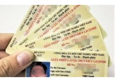 MẪU ĐƠN XIN CẤP ĐỔI GIẤY PHÉP LÁI XE NĂM 2025