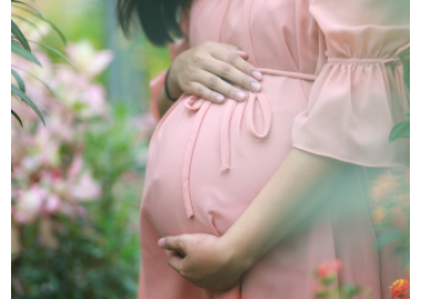 QUYỀN VÀ NGHĨA VỤ CỦA BÊN MANG THAI HỘ VÌ MỤC ĐÍCH NHÂN ĐẠO?